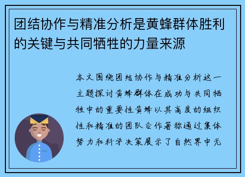 团结协作与精准分析是黄蜂群体胜利的关键与共同牺牲的力量来源