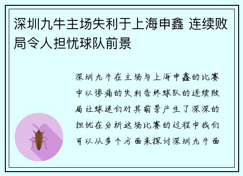 深圳九牛主场失利于上海申鑫 连续败局令人担忧球队前景