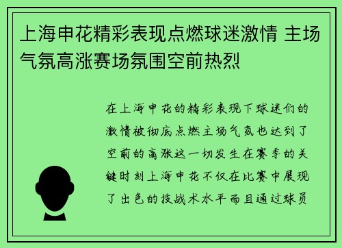 上海申花精彩表现点燃球迷激情 主场气氛高涨赛场氛围空前热烈