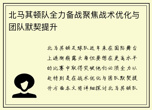 北马其顿队全力备战聚焦战术优化与团队默契提升